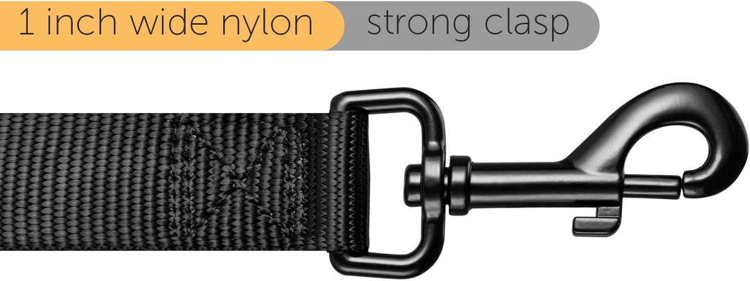 TUG 5 FT Leash with Padded Traffic Handle