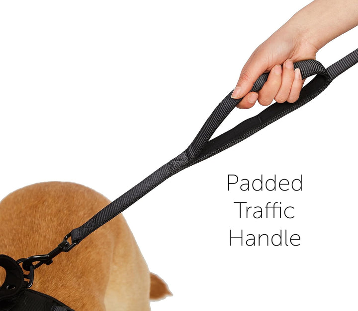 TUG 5 FT Leash with Padded Traffic Handle