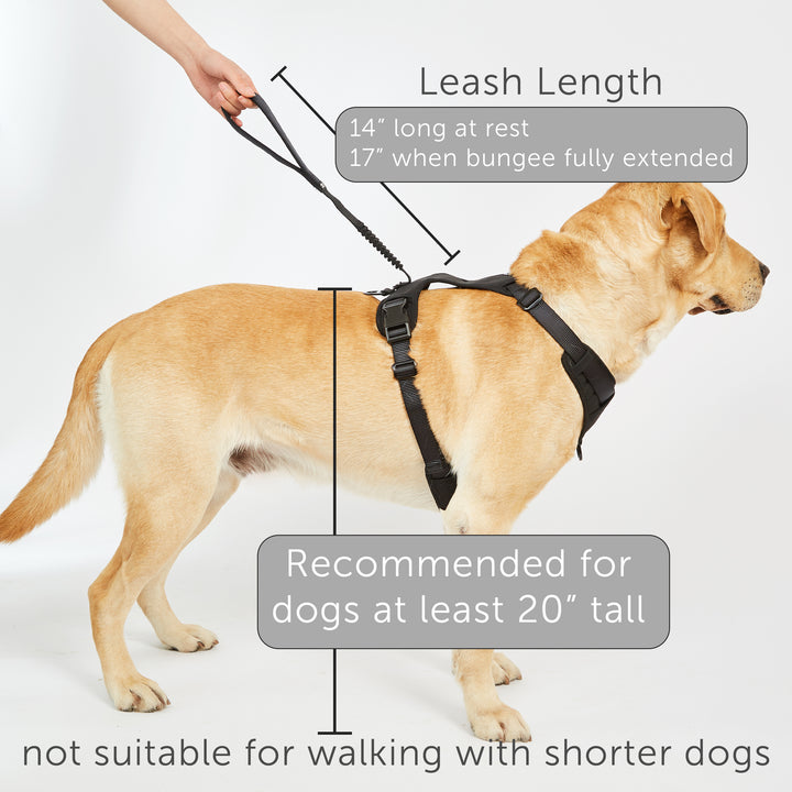 TUG Grab Harness | Integrated Traffic Leash Magnetically Attached for Quick Control