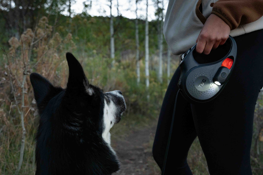 TUG Dog Light - Walking Flashlight Connects to Dog Leashes, Collars, &amp; Harnesses | Rechargeable and Bright LED for Night Walks