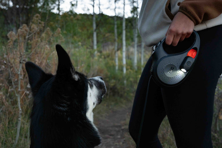 TUG Dog Light - Walking Flashlight Connects to Dog Leashes, Collars, &amp; Harnesses | Rechargeable and Bright LED for Night Walks