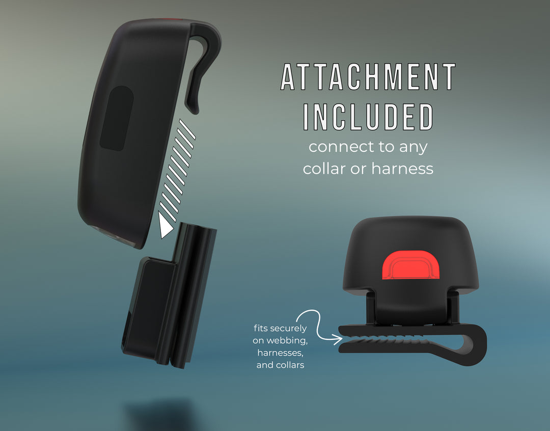 TUG Dog Light - Walking Flashlight Connects to Dog Leashes, Collars, &amp; Harnesses | Rechargeable and Bright LED for Night Walks