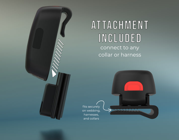 TUG Dog Light - Walking Flashlight Connects to Dog Leashes, Collars, &amp; Harnesses | Rechargeable and Bright LED for Night Walks