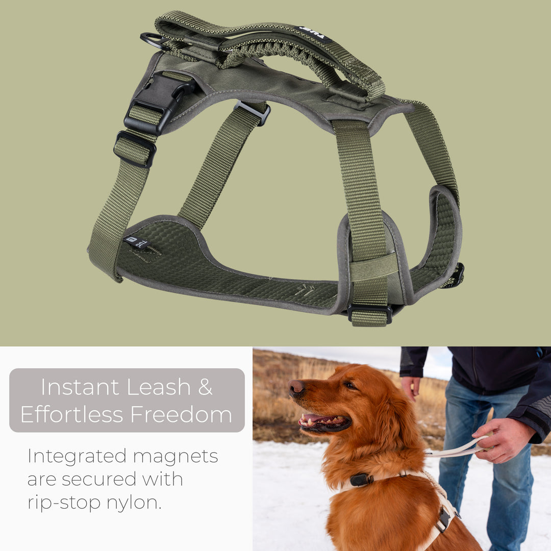 TUG Grab Harness | Integrated Traffic Leash Magnetically Attached for Quick Control