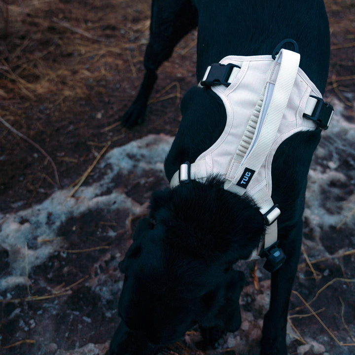 TUG Grab Harness | Integrated Traffic Leash Magnetically Attached for Quick Control