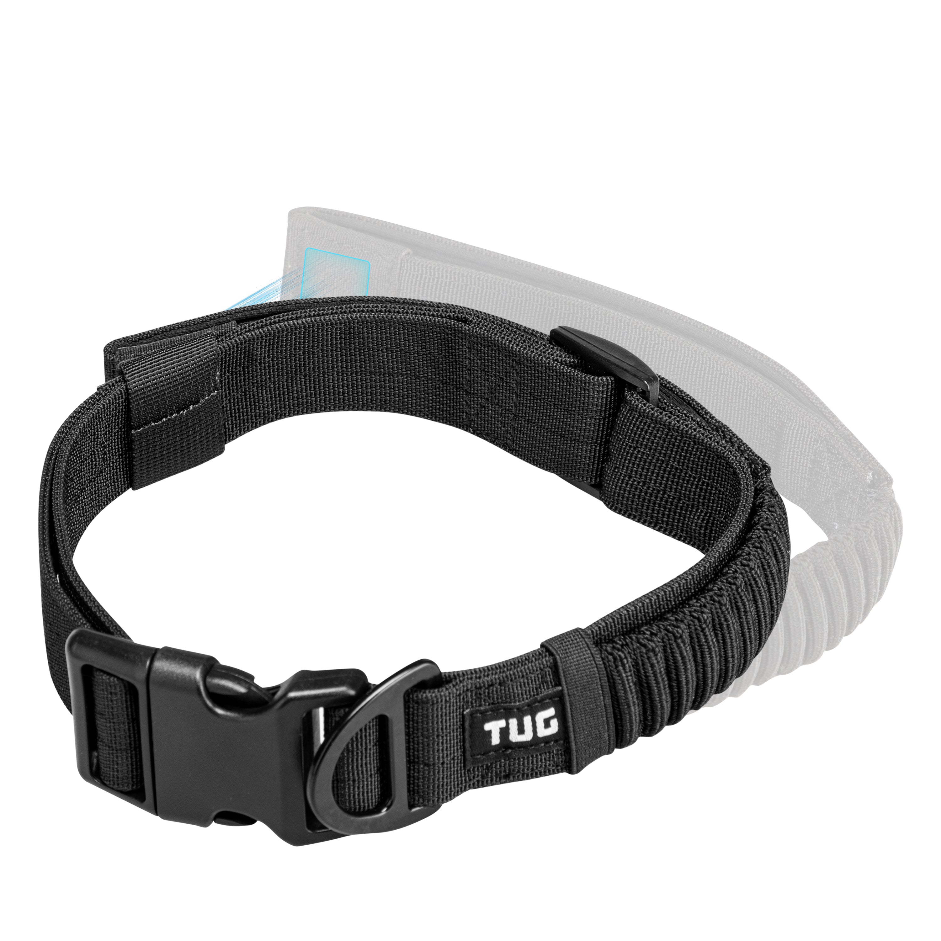 Dog Collars