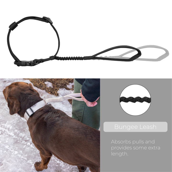 TUG Grab Collar | Integrated Traffic Leash Magnetically Attached for Quick Control