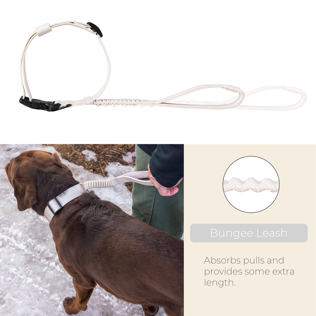 TUG Grab Collar | Integrated Traffic Leash Magnetically Attached for Quick Control