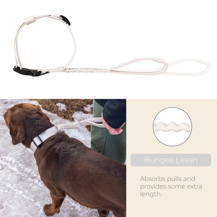 TUG Grab Collar | Integrated Traffic Leash Magnetically Attached for Quick Control