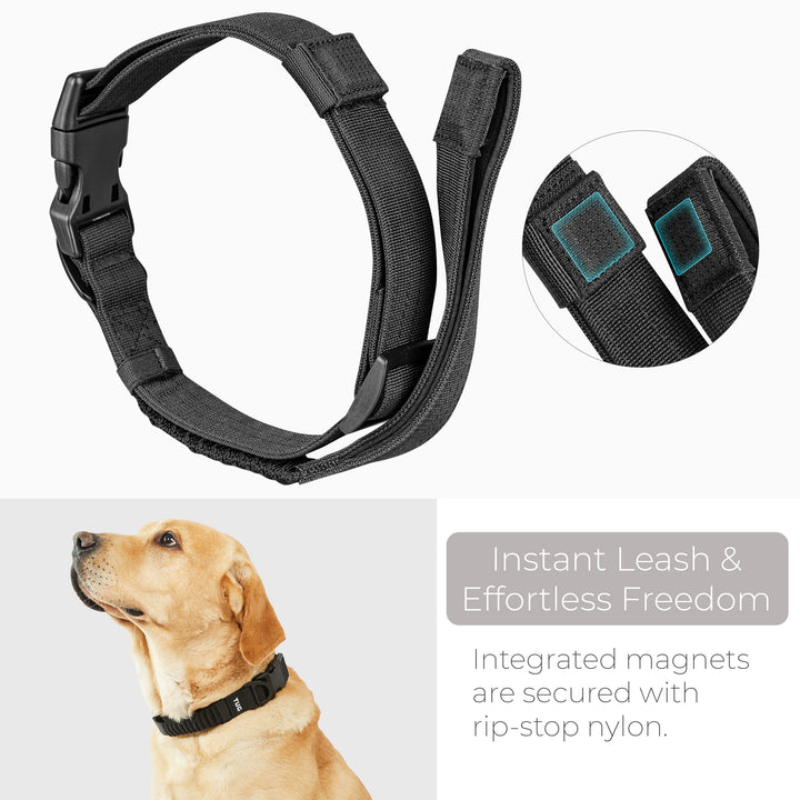 TUG Grab Collar | Integrated Traffic Leash Magnetically Attached for Quick Control