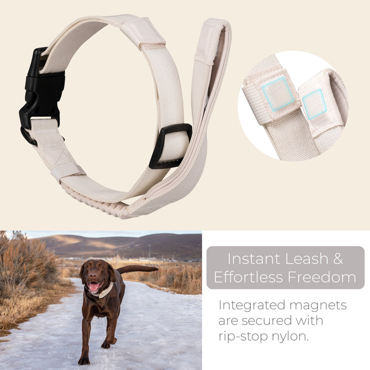TUG Grab Collar | Integrated Traffic Leash Magnetically Attached for Quick Control