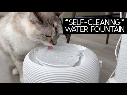 Nugget Premium Drinking Fountain