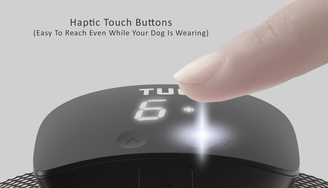 TUG Bark Collar